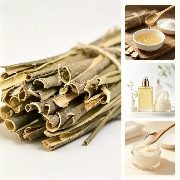 White Willow Bark Extract Powder White Willow Bark Extract Powder