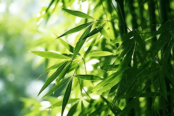 blog-1-1 blog-1-1