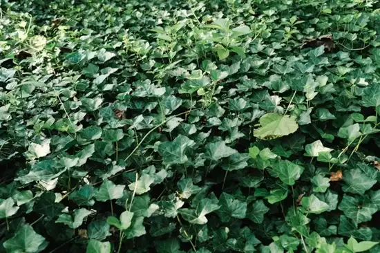 blog-1-1