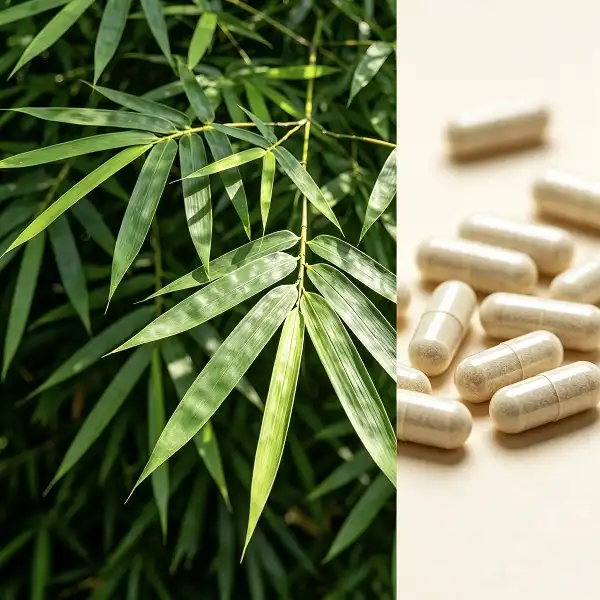 Bamboo Leaf Extract