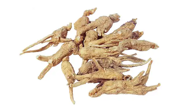 Angelica Officinalis Extract Angelica Officinalis Extract