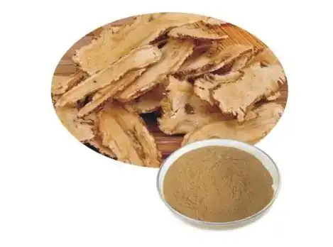 Angelica Officinalis Extract Angelica Officinalis Extract