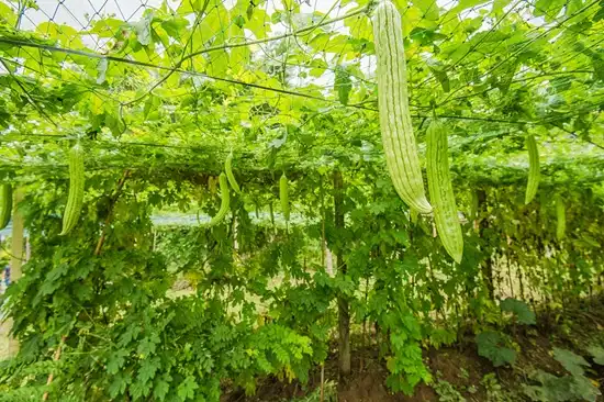 blog-1-1 blog-1-1
