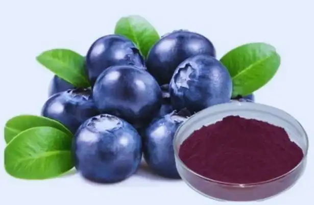 Blueberry Extract Powder