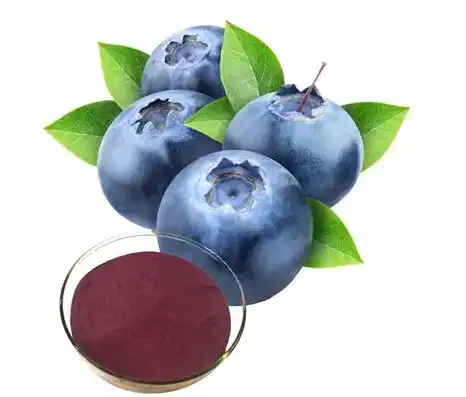 Blueberry Extract Powder