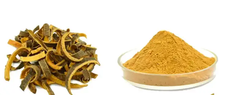 Cortex Phellodendri Powder Cortex Phellodendri Powder