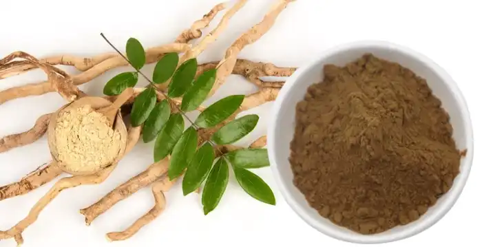 Tongkat Ali Extract Powder Tongkat Ali Extract Powder
