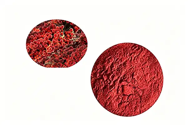 blog-1-1 blog-1-1