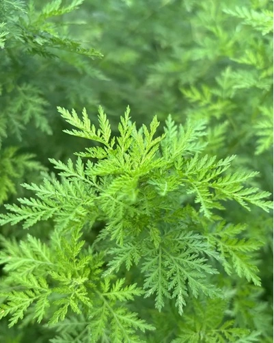 blog-1-1