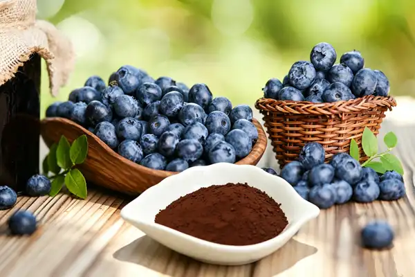 blueberry extract powder blueberry extract powder
