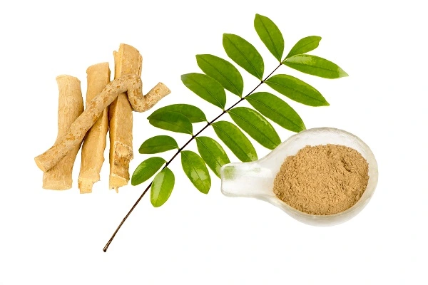 Tongkat Ali Extract Powder