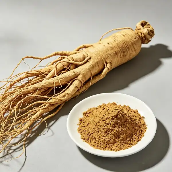 Angelica Officinalis Extract Angelica Officinalis Extract