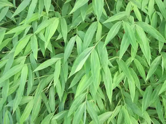 blog-1-1