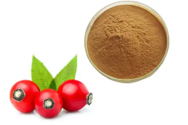 Rose Hip Extract Powder