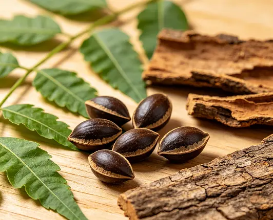 Neem Extract Neem Extract