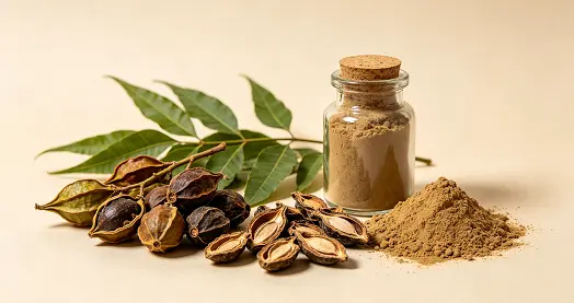 neem extract neem extract