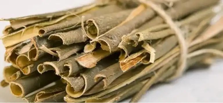 White Willow Bark Extract
