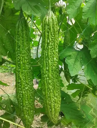 blog-1-1