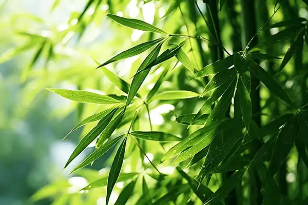 blog-1-1