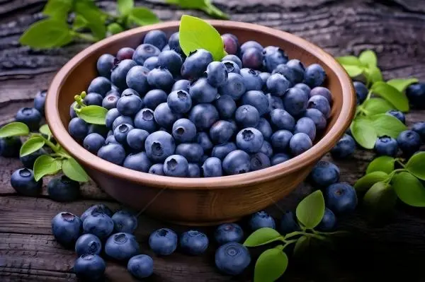 Blueberry Extract Powder
