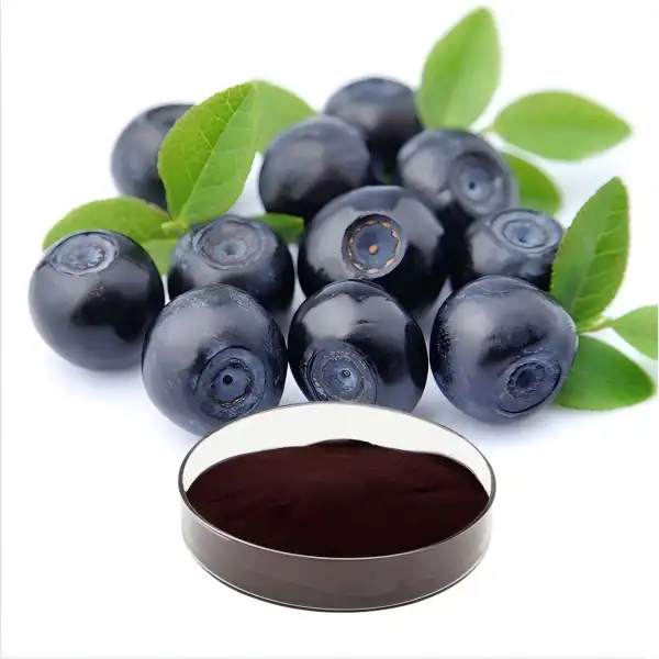 Blueberry Extract Powder