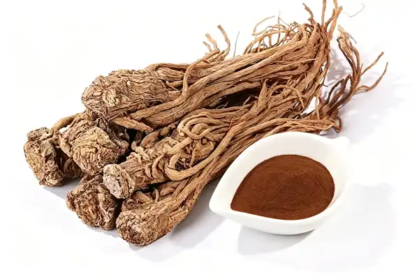 Angelica Officinalis Extract