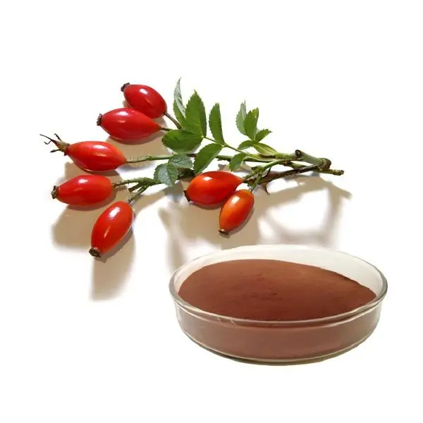 Rose Hip Extract Powder Rose Hip Extract Powder