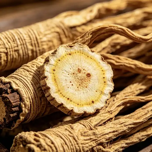 Angelica Officinalis Extract