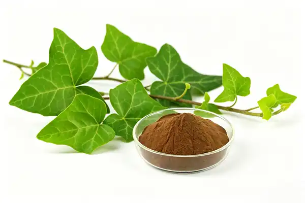 Ivy Extract Powder Ivy Extract Powder