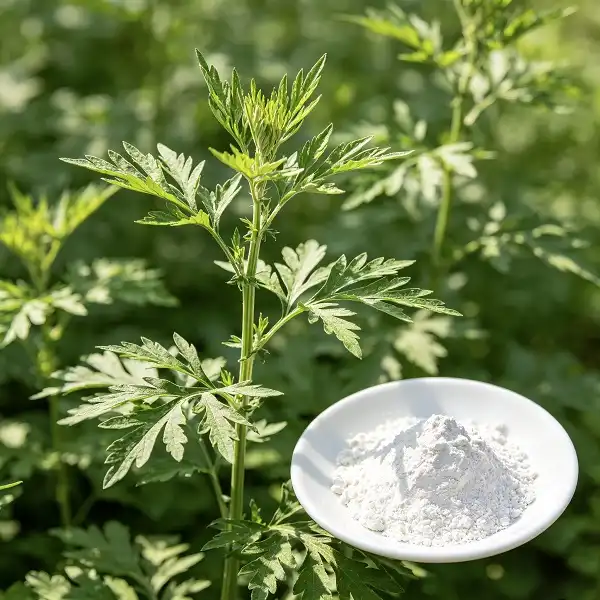 Artemisinin Powder