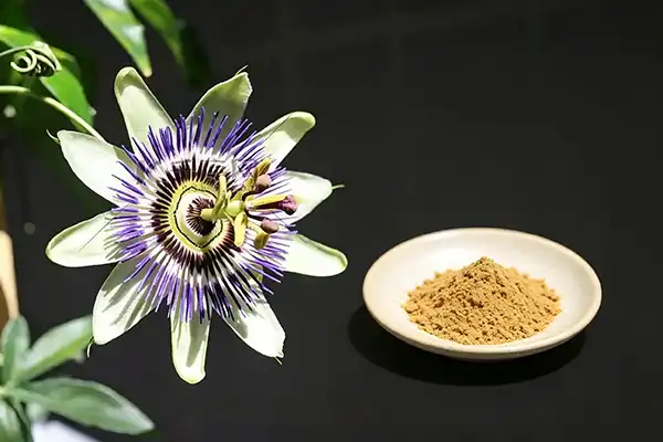 blog-1-1 blog-1-1