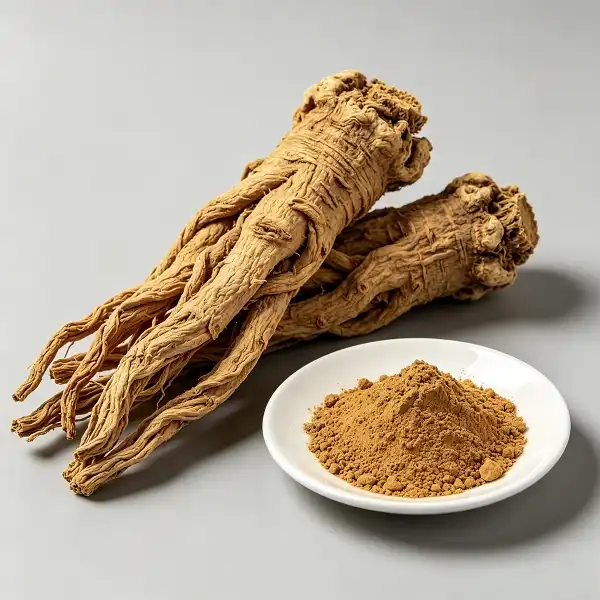 Angelica Officinalis Extract