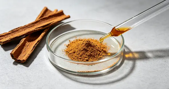 Cinnamon Bark Extract Powder Cinnamon Bark Extract Powder