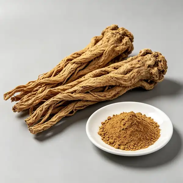 Angelica Officinalis Extract