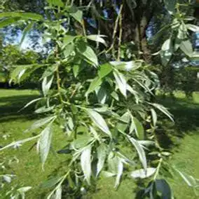 blog-1-1
