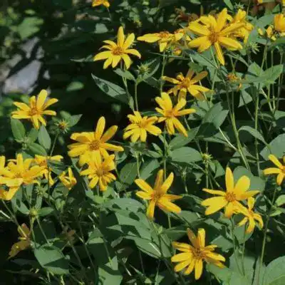 blog-1-1