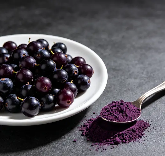 Black Currant Powder