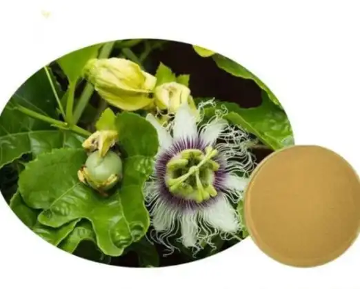 passionflower extract powder