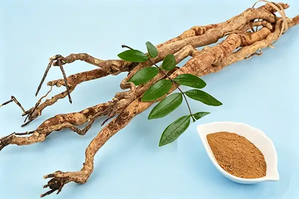 Tongkat Ali Extract Powder