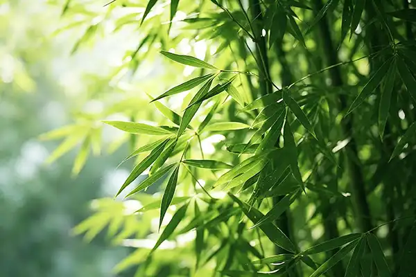blog-1-1