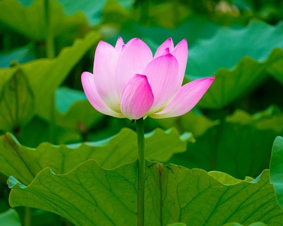 blog-1-1