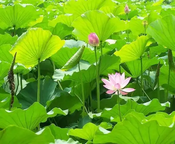 blog-1-1