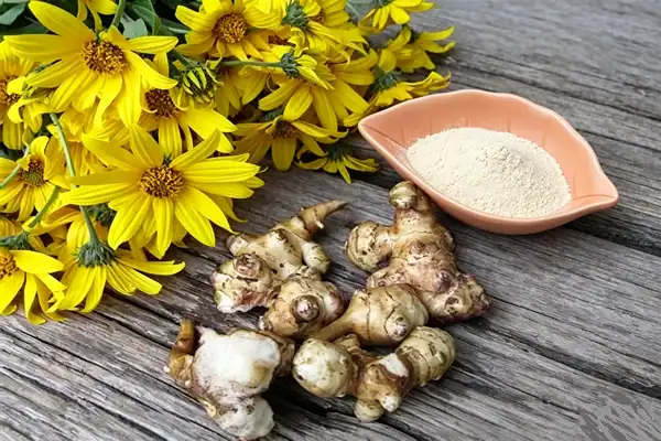 Jerusalem Artichoke Extract Jerusalem Artichoke Extract