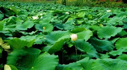blog-1-1 blog-1-1