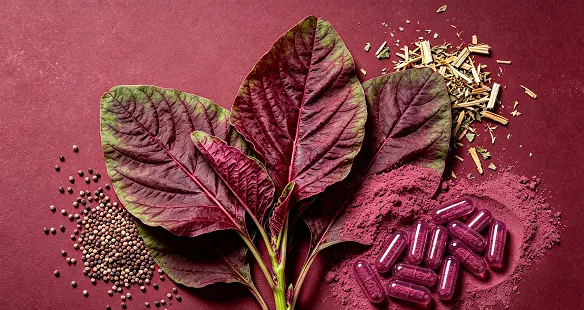 Red Amaranth Extract