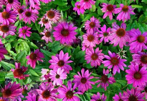 blog-1-1