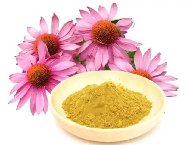 Echinacea Purpurea Extract