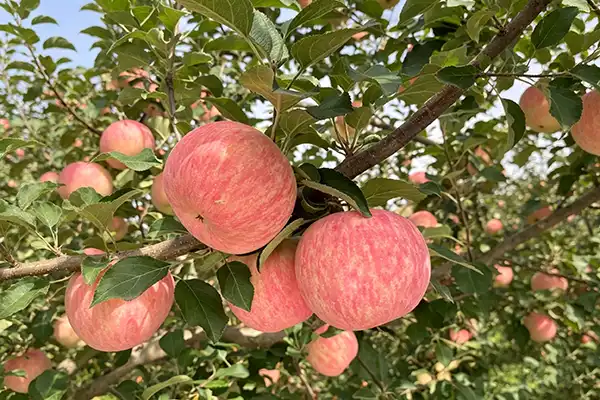blog-1-1 blog-1-1
