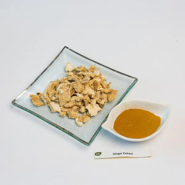 Ginger Extract Powder Ginger Extract Powder