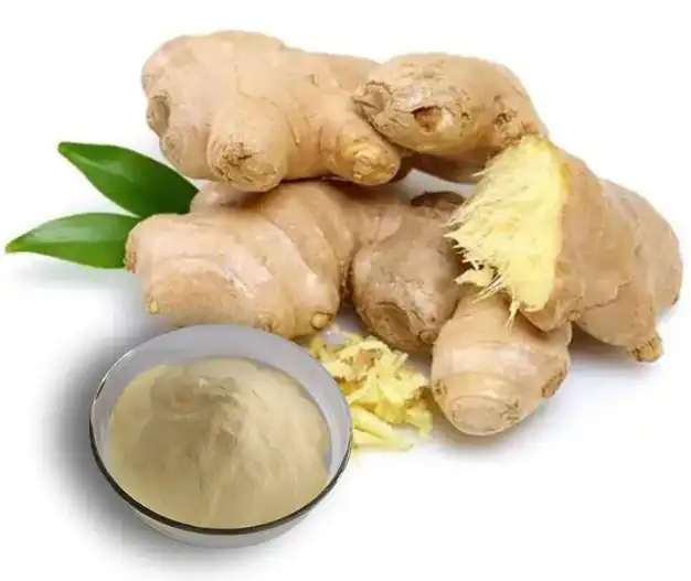 Ginger Extract Powder Ginger Extract Powder